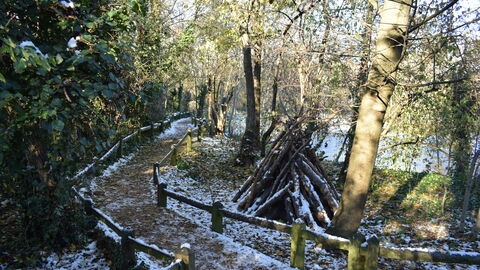 A path through the woods with a light dusting of snow and a pond in the background