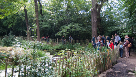 Sydenham Hill Wood Open Day