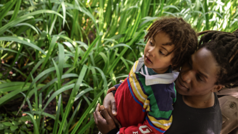 A person and a child looking into the reeds at Camley Street Natural Park
