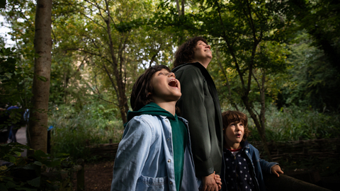 Two children and a person stand looking up at a tree canopy