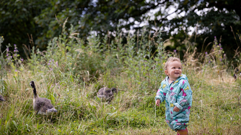 Child with geese at Walthamstow Wetlands