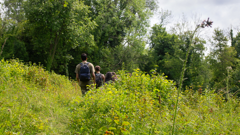 People walking along a path surrounded by lush summer vegetation