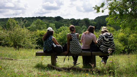 Four women sitting on a bench in a meadow looking out towards some trees