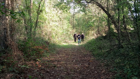 People walking in The Warren