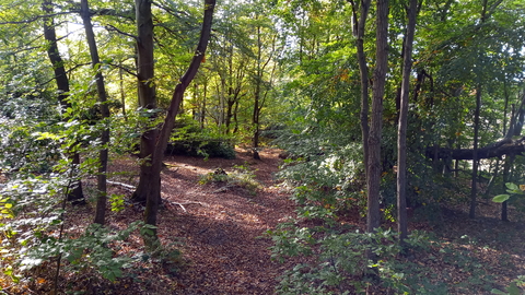 View of The Warren