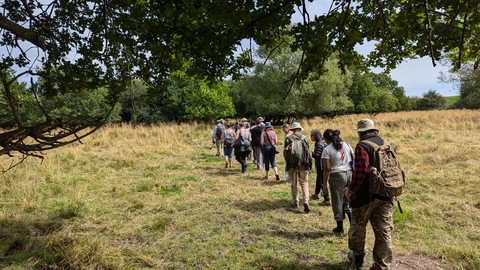 A group of people walking across a field with tree canopy in the foreground