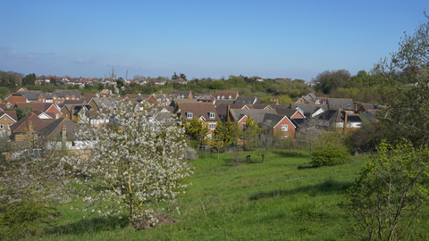 View from Braeburn Park