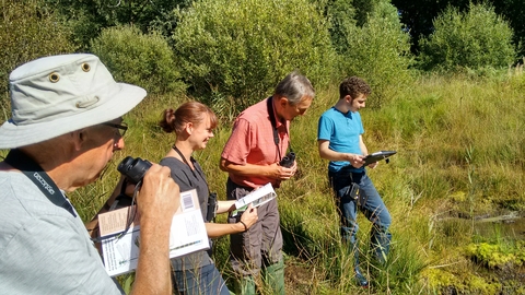 Four people standing with binoculars and booklets looking at the bog
