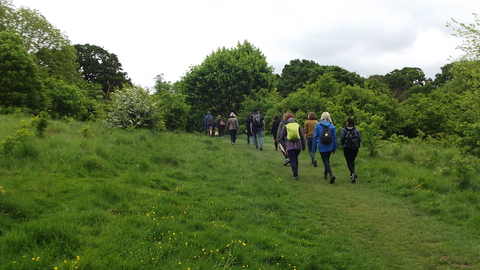 A group of people walking across a field with trees around