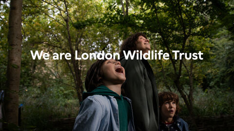 Family looking up at the trees with title 'We are London Wildlife Trust' written on top