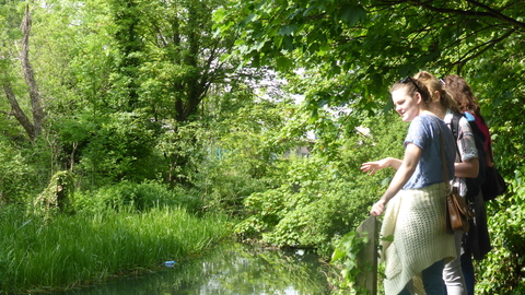 Spencer Road Wetlands
