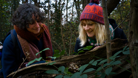 Two adults looking at fungi in Gutteridge Wood and Meadows