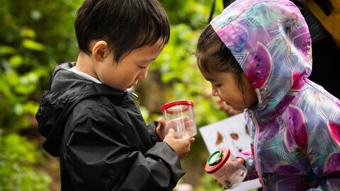 2 children in raincoats looking at bugs in plastic bug jars in the outdoors