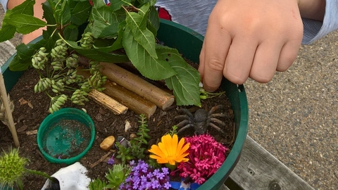 gardening