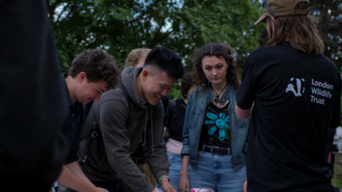 A group of young people planting seeds
