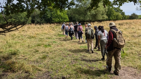 People walking through a meadow