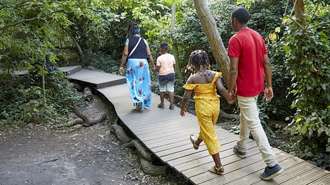 People walking along a boardwalk in a woodland