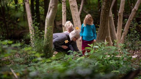 A family in the wood
