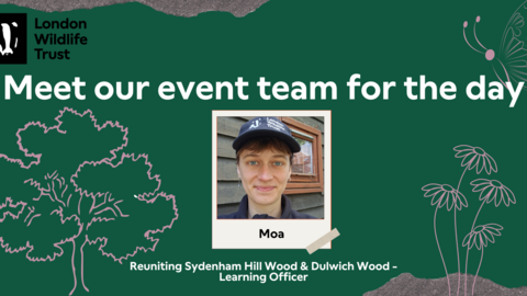 Moa Learning Officer