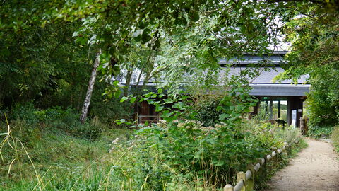 A visitor centre in the background is shrouded by grasses and overhanging branches. A gravel path leads towards the building on the bottom-right of the frame.