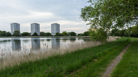 3 blocks of flats overlook a reservoir, its right-hand bank fringed by reeds that lead up to a grassy bank. A Tree hangs over from the top right