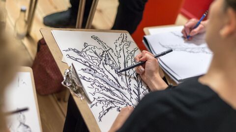 An over-the-shoulder view of a person's drawing board, on which they have sketched a leafy plant in pen.