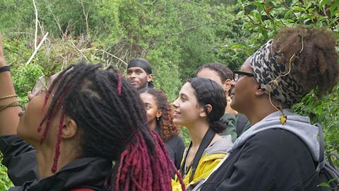 A group admiring and spotting nature