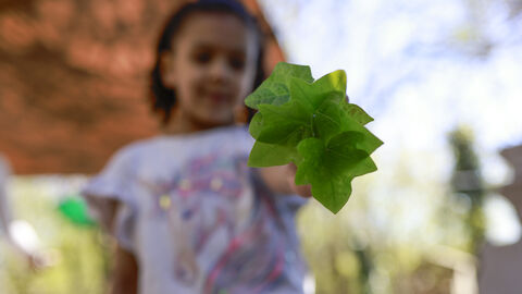 Child and Plant