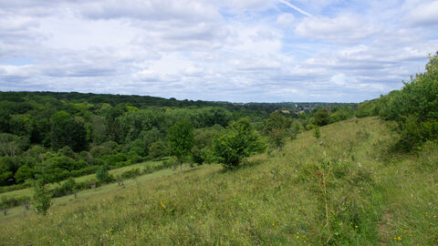 A footpath leads through a green meadow which slopes down to the left. There are trees dotted amongst the meadow, and in the background is a more densely wooded area. There is a blue sky peeking out through white clouds.