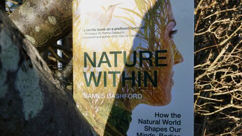 A photo of Nature Within book 