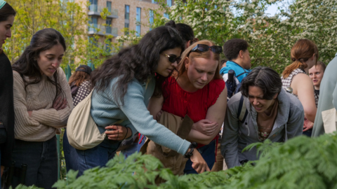 An image of young people looking at ferns, pointing down to something. There are trees and buildings in the background. There are trees and building behind them 