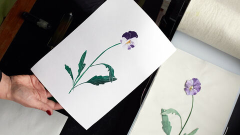 A print of a lilac & purple flower with yellow stamen and green leafy stem on a white sheet of paper. The etched version of this flower made from Tetrapak, that was used to make the print, sits to the right. Its colours are the same but more muted. 