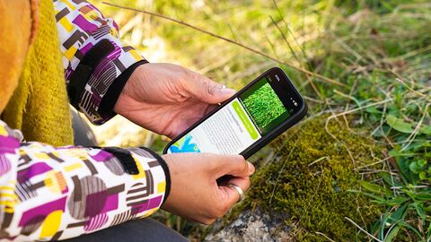 Someone using their phone to record a plant