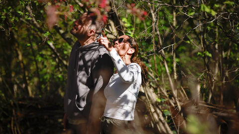 Two people look up into a canopy of trees as they are surrounded by foliage.