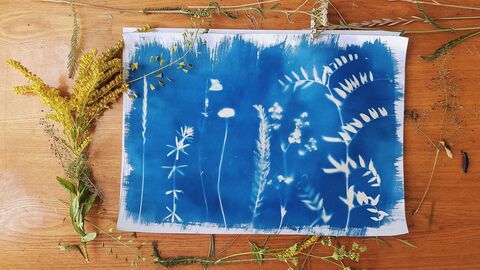 Cyanotype blue paper with white imprints of flowers laid on a wooden surface with natural materials around.