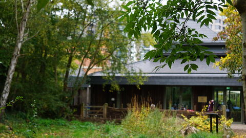 Camley Street's visitor centre is out of focus in the background, framed by autumnal foliage with shades of green and yellow.