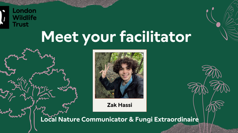 Banner titled 'Meet our event team for the day' showing a picture of Zak Hassi, Local Nature Communicator & Fungi Extraordinaire
