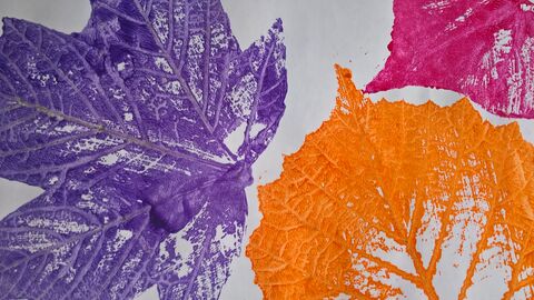 print of some leaves