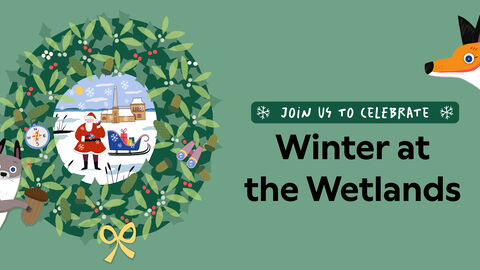 Winter at the Wetlands
