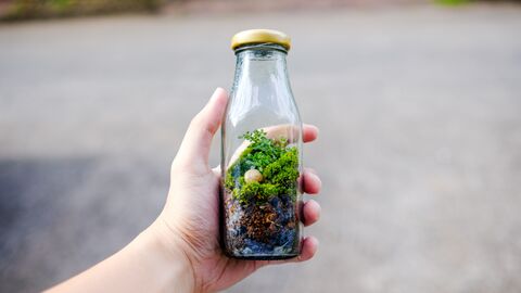 A hand holding a milk jar with a terrarium inside it.