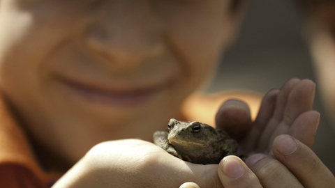 A child smiling in the background with hands holding a toad in the foreground