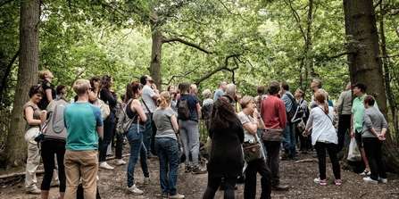Tree ID walk