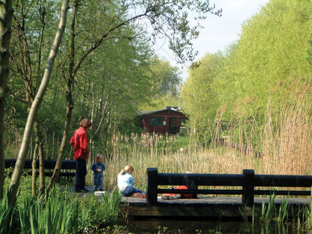 Camley Street Natural Park