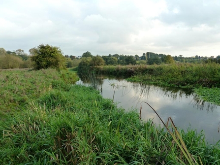 Frays Farm Meadows