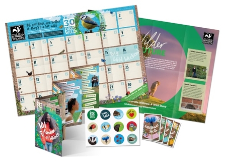 30 Days Wild Individual Pack