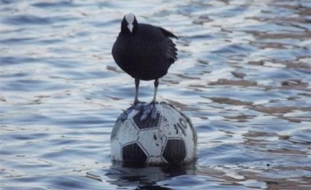 Football crazy