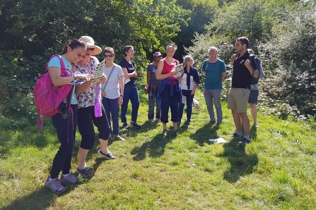 One Tree Hill butterfly walk 2018