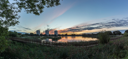 Woodberry Wetlands sunset 