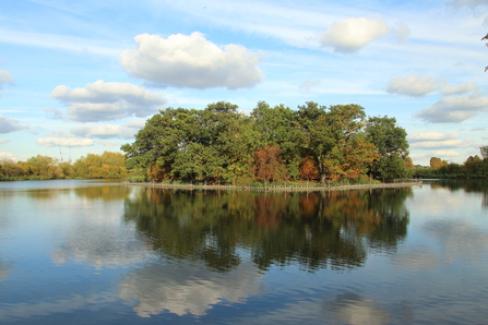 Walthamstow Wetlands reservoir island