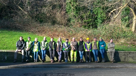 Hillcrest Wood volunteer day